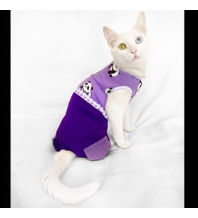 Chique Panda Kedi Tulumu Kedi Kıyafeti Kedi Elbisesi (Mor)