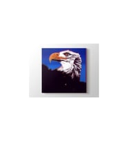 DBSanatevi Andy Warhol - Bald Eagle Tablo 50 X 50 Cm