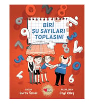 Biri Şu Sayıları Toplasın