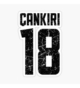 18 ÇANKIRI Sticker Yapıştırma Oto Etiket 17cm