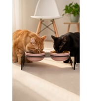 2'li Siyah Pleksi Kedi Ve Köpek Seramik Mama & Su Kabı Paspas Hediye
