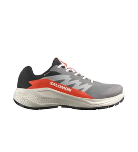 Salomon Alphaglide Gore-Tex Erkek Outdoor Koşu Ayakkabısı L47975300 Gri