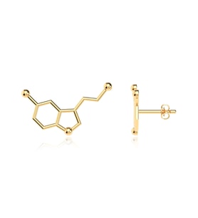 Serotonin Mutluluk Hormonu Altın Kaplama Gümüş Küpe
