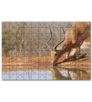 Cakapuzzle Savanada Diz Çökmüş Su İçen İmpala Puzzle Yapboz MDF (Ahşap) (120 Parça)