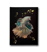 Modern Balık Canvas Tablo MİND307