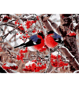 Dallardaki Kuşlar Sayılarla Boyama Seti 40x50 cm (Tuvale Gerili)