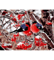 Dallardaki Kuşlar Sayılarla Boyama Seti 40x50 cm (Tuvale Gerili)