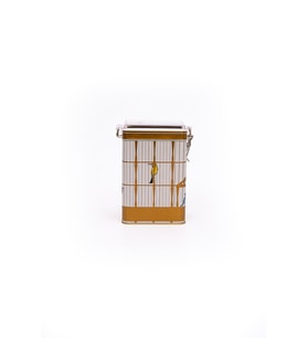 Dikdörtgen Kutu, 75x100x150 mm, Şeffaf Kilitli Kapak, 1 lt