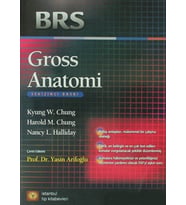 Brs Gross Anatomi (Krem)