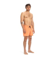 Quiksilver EVERYDAY SOLID VOLLEY 15 Turuncu Erkek Şort EQYJV04120-802