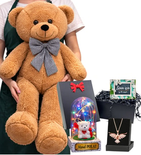 Büyük Boy Kahve Peluş Ayıcık, Kişiye Özel Renkli Işıklı Fanus ve Anka Kuşu Kolye Seti (Model 5)