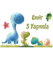 Dinozorlar Temalı Doğum Günü Afişi 35X50 cm