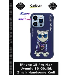 iPhone 15 Pro Max Uyumlu 3D Gözlük Zincir Handsome Kedi Cep Estetik Zincirli