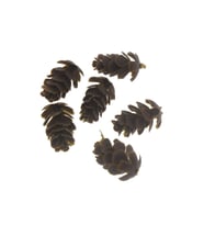 10 Adet 2,5cm Plastik Kozalak (STD)
