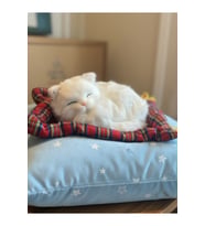 Peluş Yavru Kedi Oyuncak Minder Üstünde Uyuyan Kedi Orta Boy