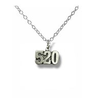 520 Numeroloji Bereket Unisex Kolye – 60 cm Zincirli, Anlamlı Tasarım (Gümüş)