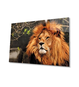 Aslan 3 Cam Tablo