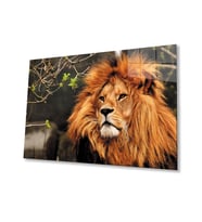 Aslan 3 Cam Tablo