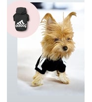 Black Adidog Kapşonlu Sweatshirt Köpek Kazağı (Siyah)