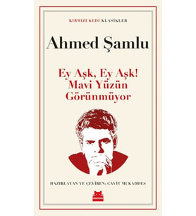 Ey Aşk, Ey Aşk! Mavi Yüzün Görünmüyor
