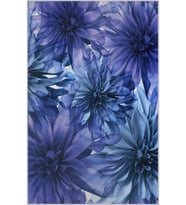 Eliana Home Baskılı, Yıkanabilir Kaymaz Taban Salon Halısı LNA1749 100x150 cm (Mavi)