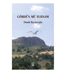 Gördün mü Turnam