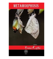 Metamorphosis