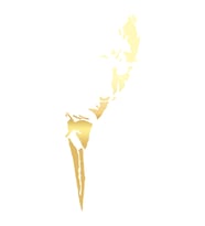Atatürk Silüet Sticker17x17 Cm Gold