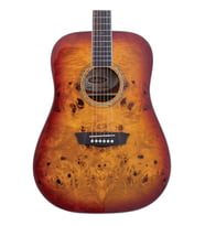 Washburn Deep Forest Burl Amber Fade Akustik Gitar