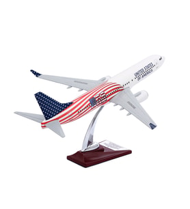Zekupp - Maket Uçak - Boeing 737-800 1/100 - ABD ÖZEL TASARIM Model Uçak