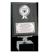 ODAK KUPA - Ahşap Plaketler - PL-008 A - 18x24 cm