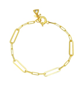 Barika Jewelry Kadın 14 Ayar Altın Ataş Zincir Bileklik