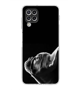 PrintiFy Samsung Galaxy M32 ile Uyumlu Köpek 1 Kamera Korumalı Şeffaf Kılıf
