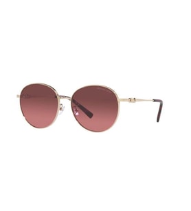 Michael Kors 0MK1119  10142057 Kadın Güneş Gözlüğü