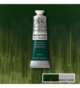 Winsor & Newton Winton Yağlı Boya 37 ml. 405 Dark Verdigris 