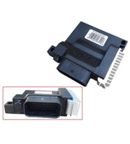 Mondial Ritmica 100 Ecu Beyin (2020 Öncesi) Orj
