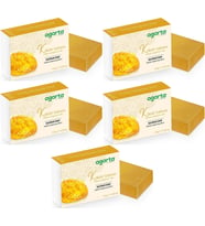 Agarta El Yapımı Doğal Sabun 150GR Kükürt (5 Li Set)