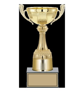 ODAK KUPA - Medium Kupalar - M-039 B - 27 cm