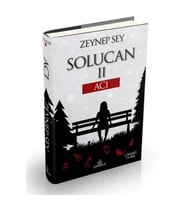 SOLUCAN-2 ACI