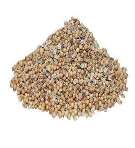 Kişniş Doğal Tane 1000 Gr Paket