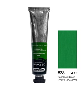 Bigpoint Yağlı Boya 45 ml Permanent Green 538 x 6 Adet