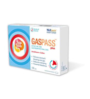 Wellcare Gaspass Plus 20 Tablet