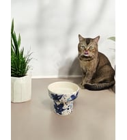 Kedi Ve Köpekler için Yüksek Seramik El Yapımı Mama Ve Su Kabı (SERAMİK EL YAPIMI)