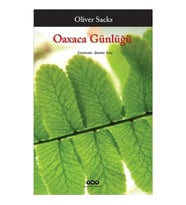 Oaxaca Günlüğü