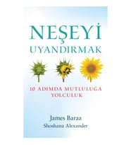 Neşeyi Uyandırmak