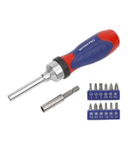 WORKPRO WP200524 14 Parça Profesyonel CR-V Cırcırlı Bits Tornavida Seti