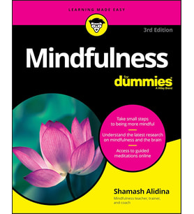 Mindfulness For Dummies