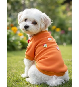 Ice Cream and Cupcakes Köpekler için Polar Sweatshirt (Turuncu)