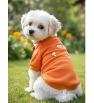 Ice Cream and Cupcakes Köpekler için Polar Sweatshirt (Turuncu)