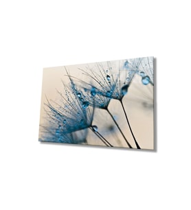 Miyrem Glasses Collection -A1^#  Mavi Karahindiba Cam Tablo (Çok Renkli)